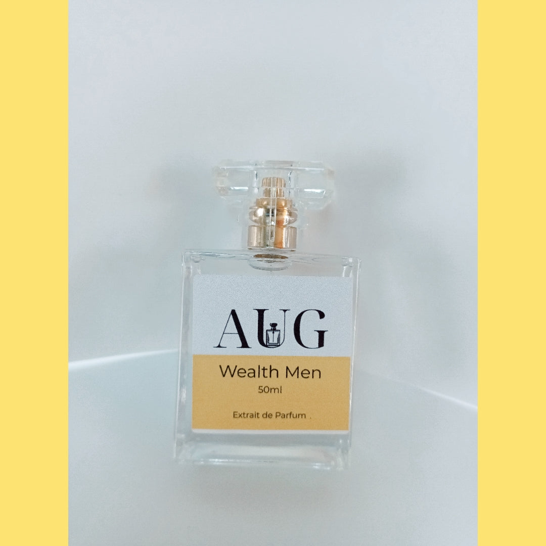 Wealth Men Extrait de Parfum 50ml inspired by One Million