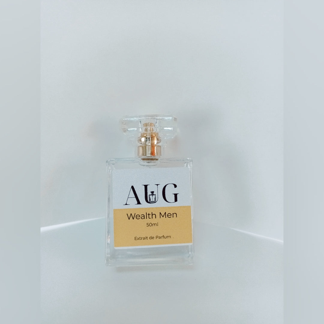 Wealth Men Extrait de Parfum 50ml inspired by One Million