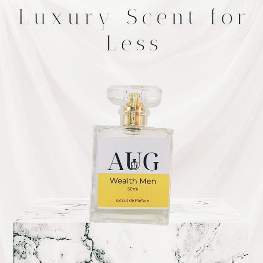 Wealth Men Extrait de Parfum 50ml inspired by One Million